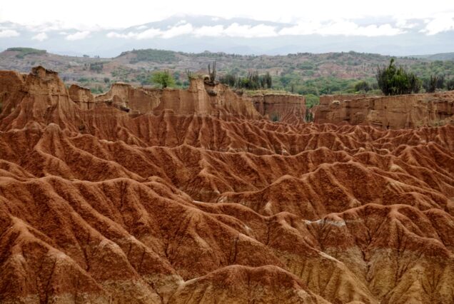 Nature in the desert of Tatacoa Colombia